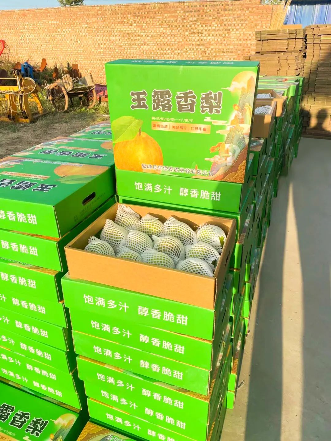 帮扶2.jpg 帮扶2.jpg